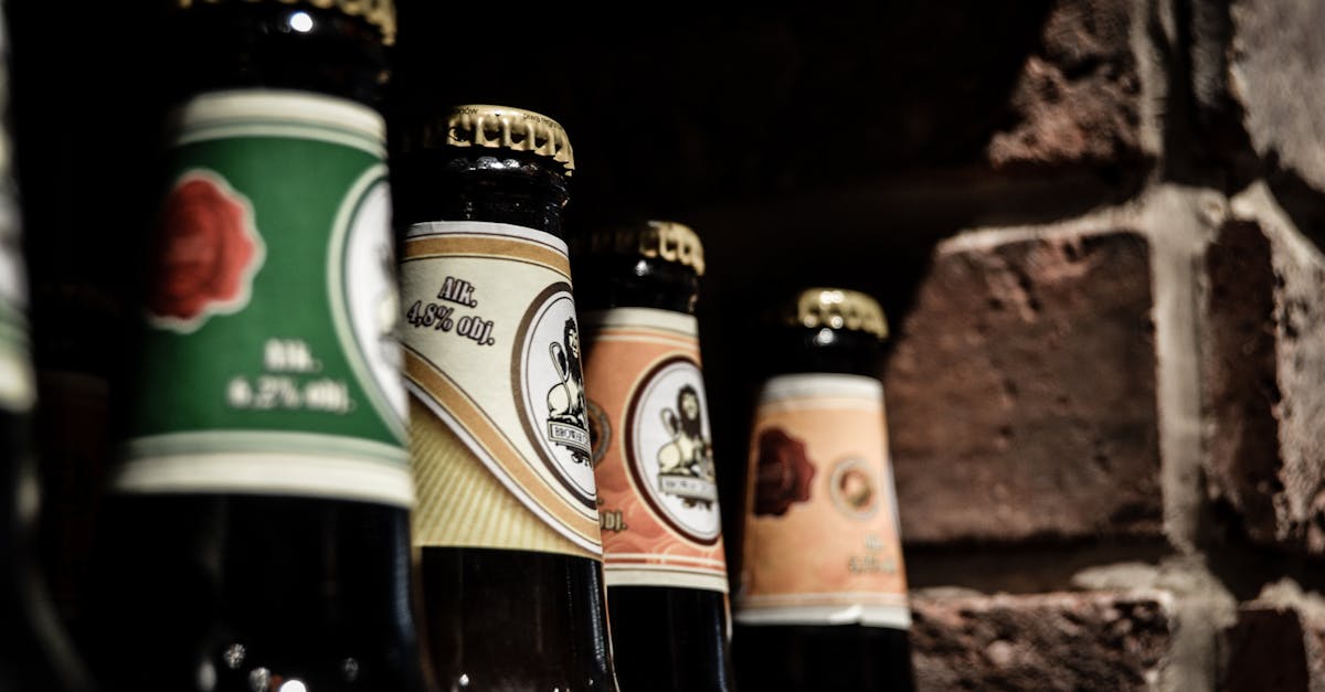 découvrez l'univers fascinant de la bière artisanale ! explorez une variété de saveurs uniques, de techniques de brassage innovantes et d'histoires passionnantes derrière chaque gorgée. que vous soyez un amateur ou un novice, plongez dans le monde des bières faites avec amour et savoir-faire.