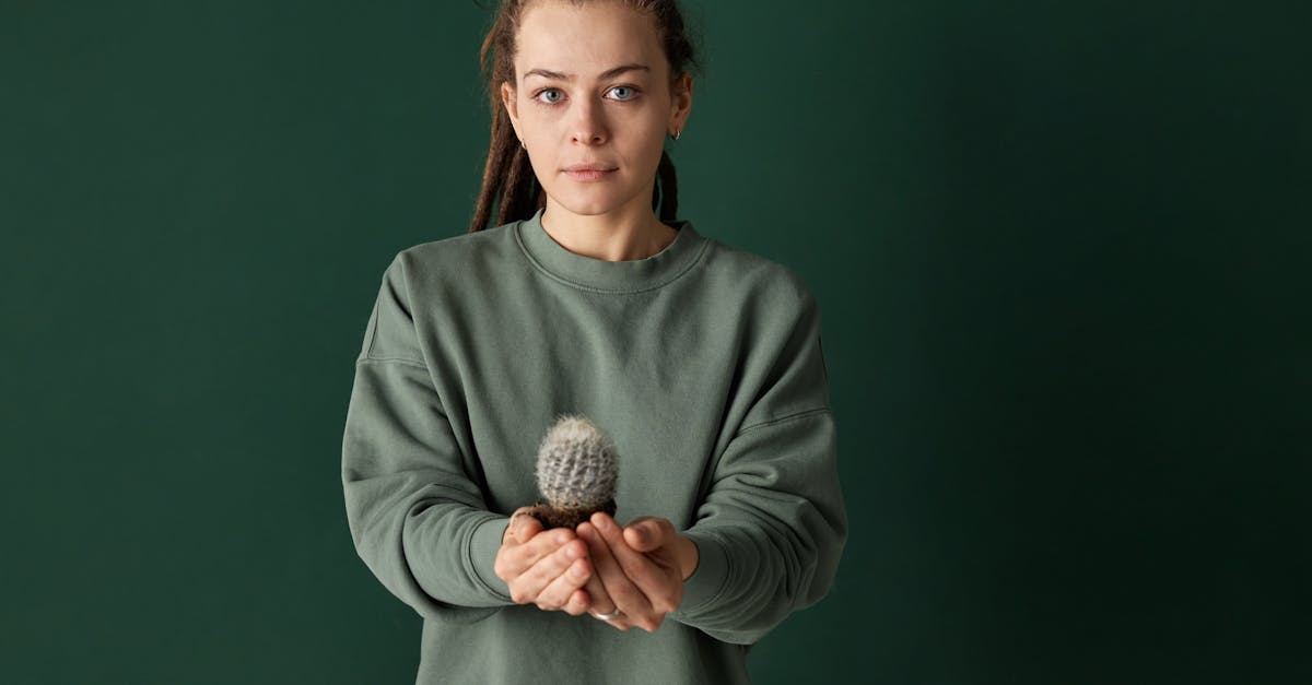 découvrez les tendances durables qui transforment notre monde. explorez des initiatives écologiques et des pratiques responsables qui promeuvent un avenir respectueux de l'environnement tout en alliant innovation et style.