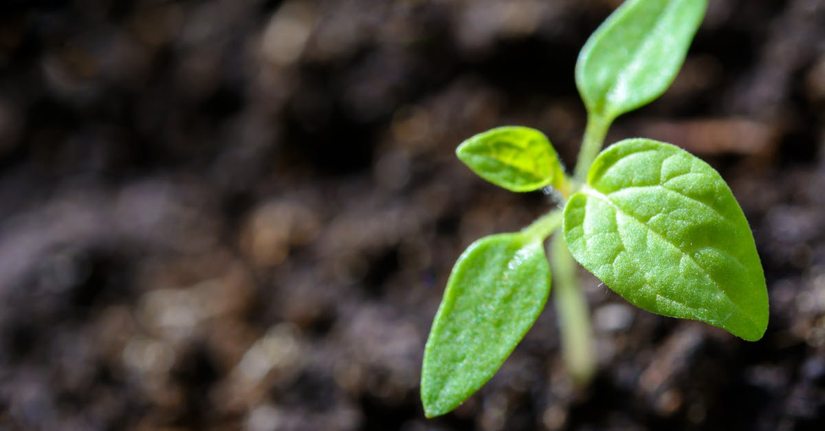 découvrez comment la durabilité peut transformer votre quotidien grâce à des pratiques respectueuses de l’environnement pour un avenir plus sain et responsable.