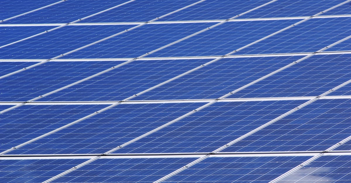 découvrez comment la durabilité favorise un avenir plus respectueux de l'environnement, en adoptant des pratiques responsables pour préserver les ressources naturelles et améliorer la qualité de vie.